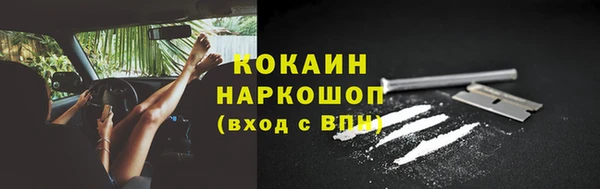молекула духа Снежинск