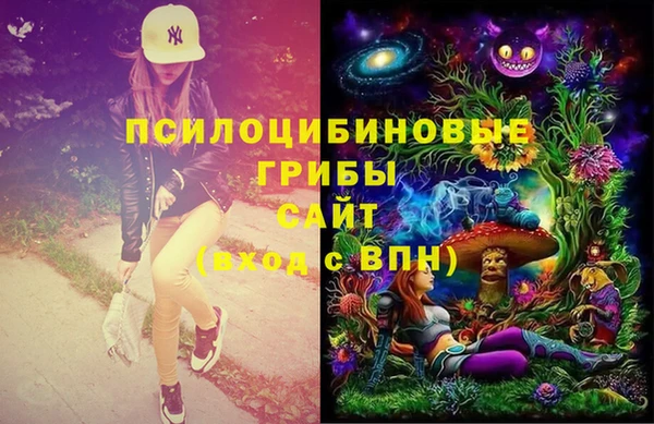 дурь Абаза